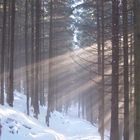 Weg zur Schneekoppe