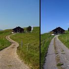 "Weg zur Siede Alpe und der Blick zurück zum kleinen Stall"