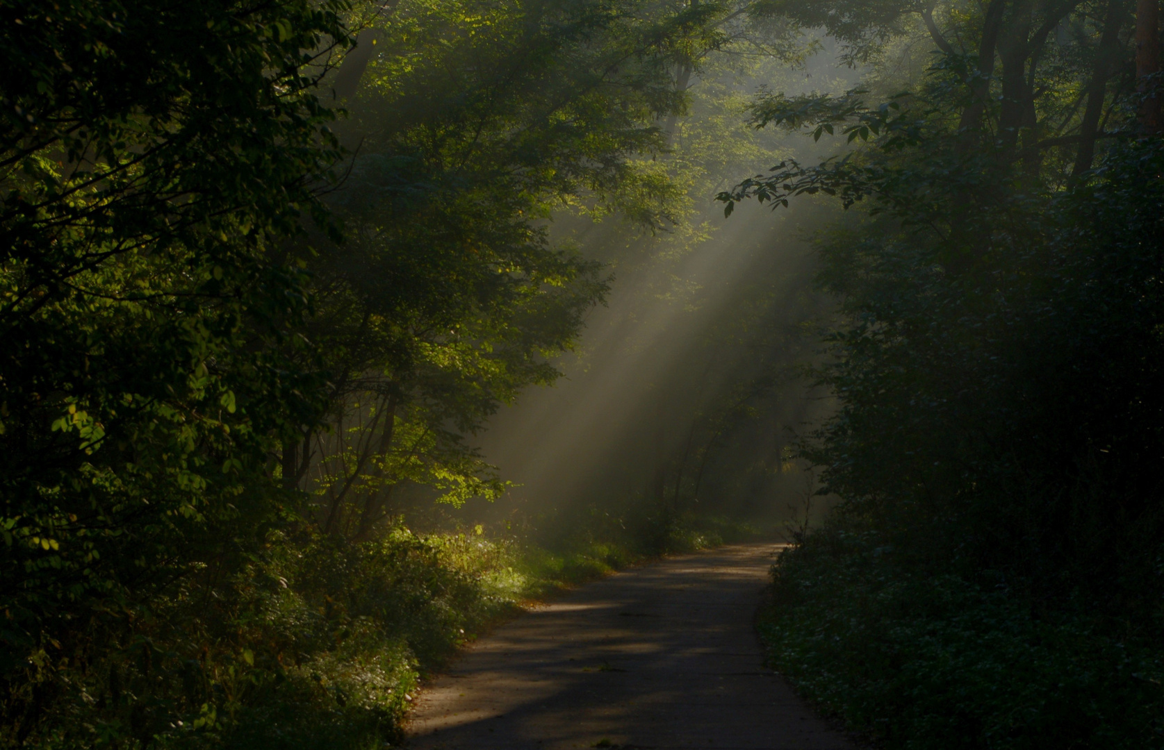 Weg zur Sonne .....