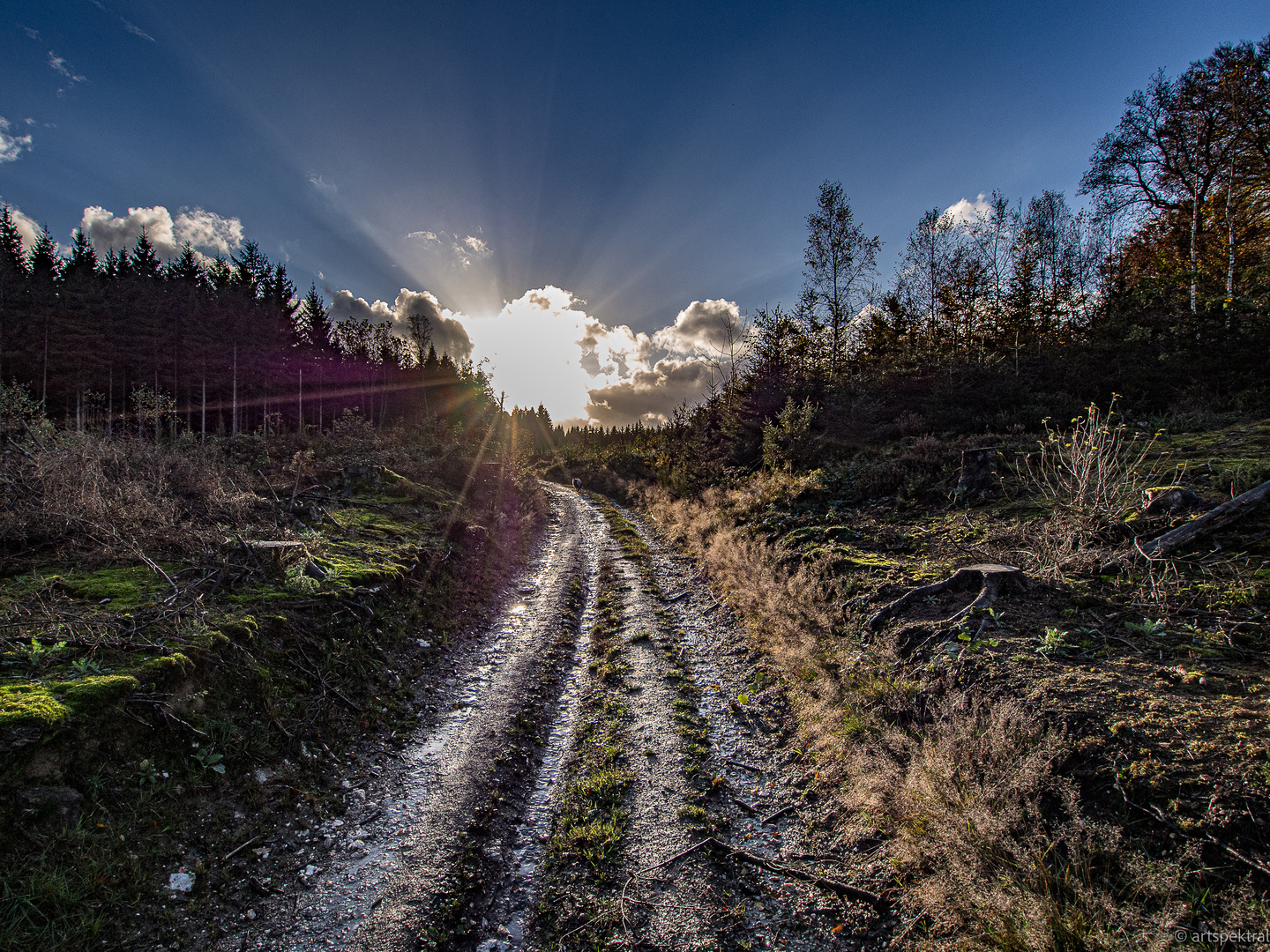 Weg zur Sonne