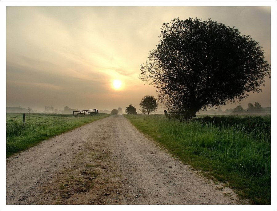 Weg zur Sonne (Krummesser Moor)