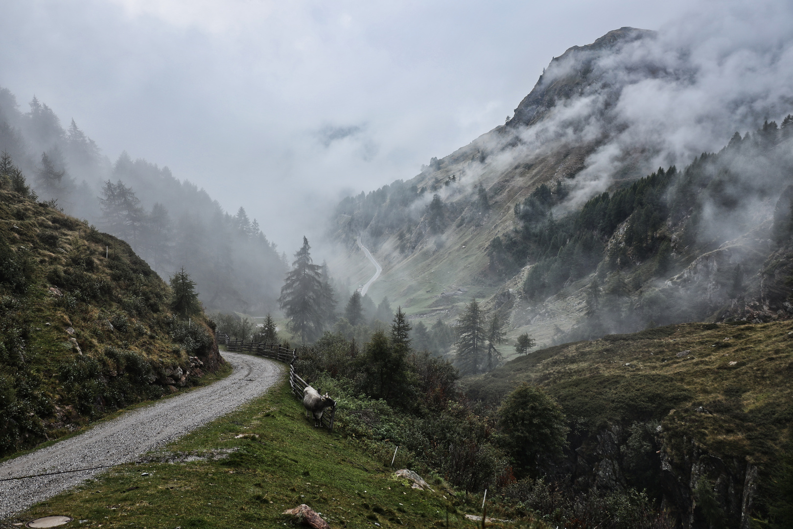 Weg zur Timmelsalm