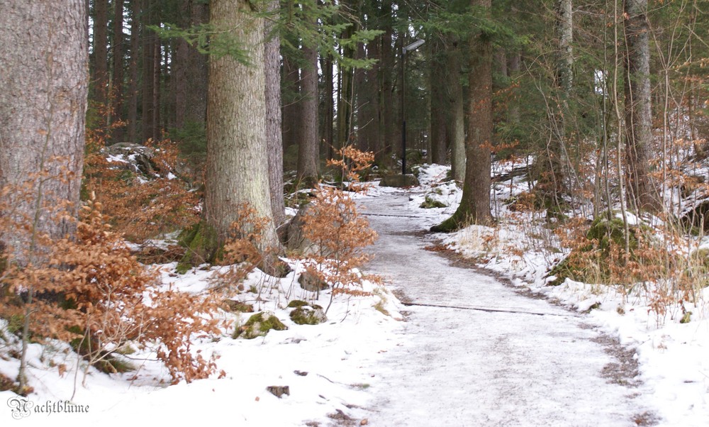 Weg zur Zugspitzgondel