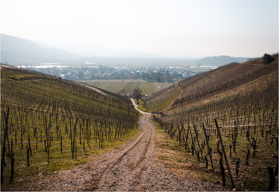 Weg zurück ins Dorf