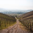 Weg zurück ins Dorf