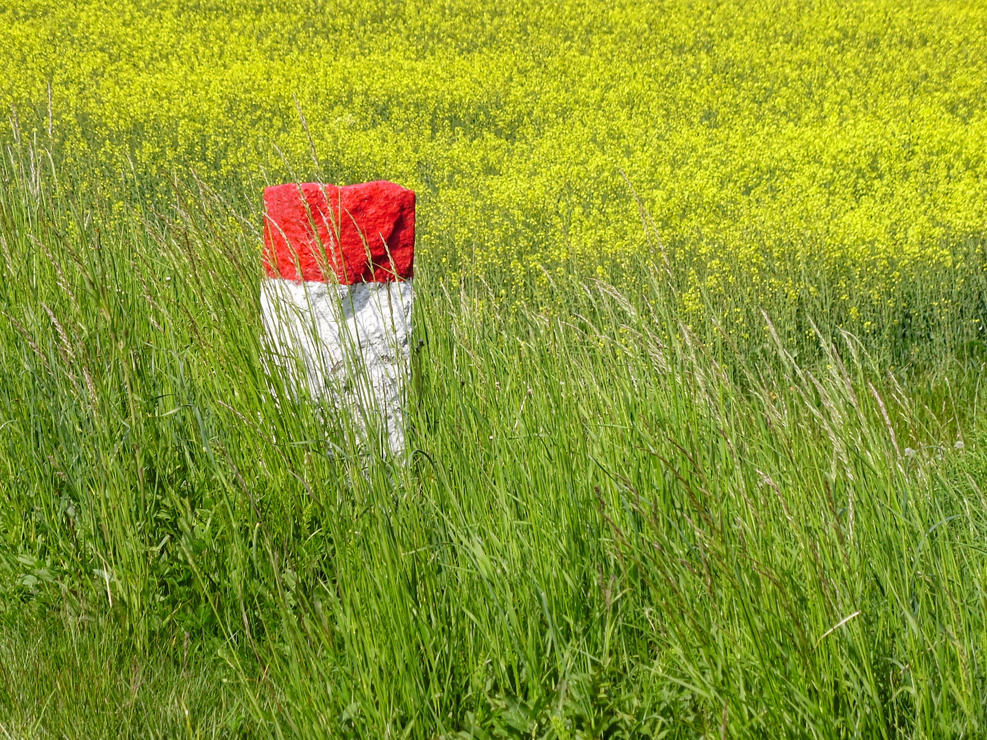 Wegbegrenzung zum Feld  -  path boundary to the field