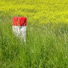 Wegbegrenzung zum Feld  -  path boundary to the field