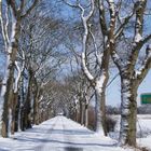 Wegbeschreibung: Immer geradeaus, bis zur Gabelung  links, dann kommt man ins Dorf.