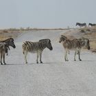 Wegblockade, da geht jemand über den Zebrastreifen