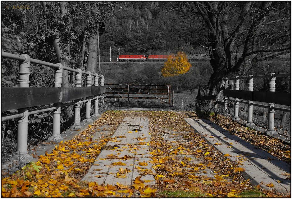 Wegbrücke bei Schlöglmühl