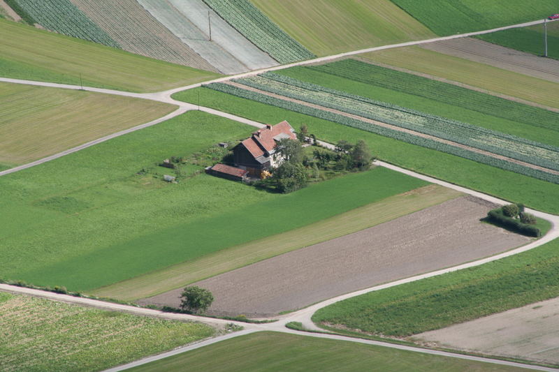 Wege 4 oder: Wohnen im Grünen