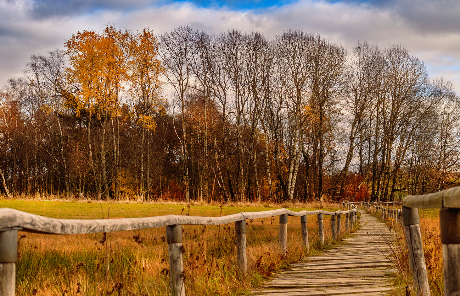 Wege Foto & Bild | landschaft, moor, landschaft & co Bilder auf