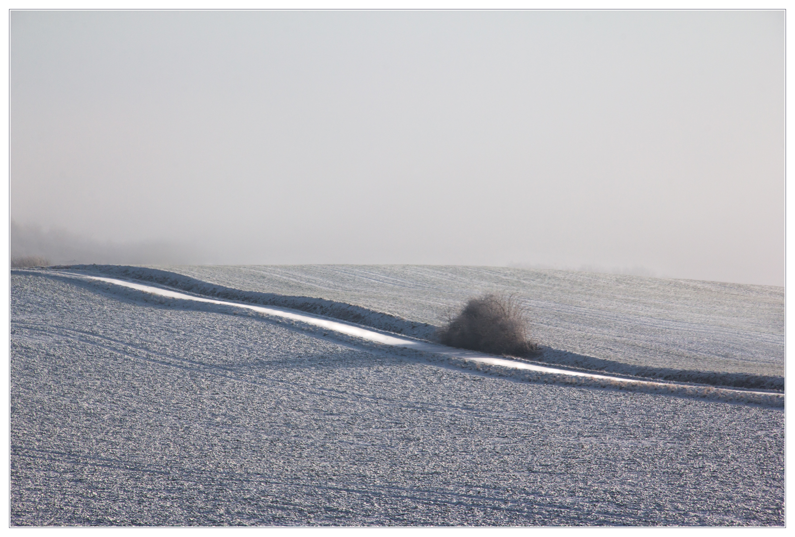 Wege abseits der Wege... - oder: ...das bunte Grau...