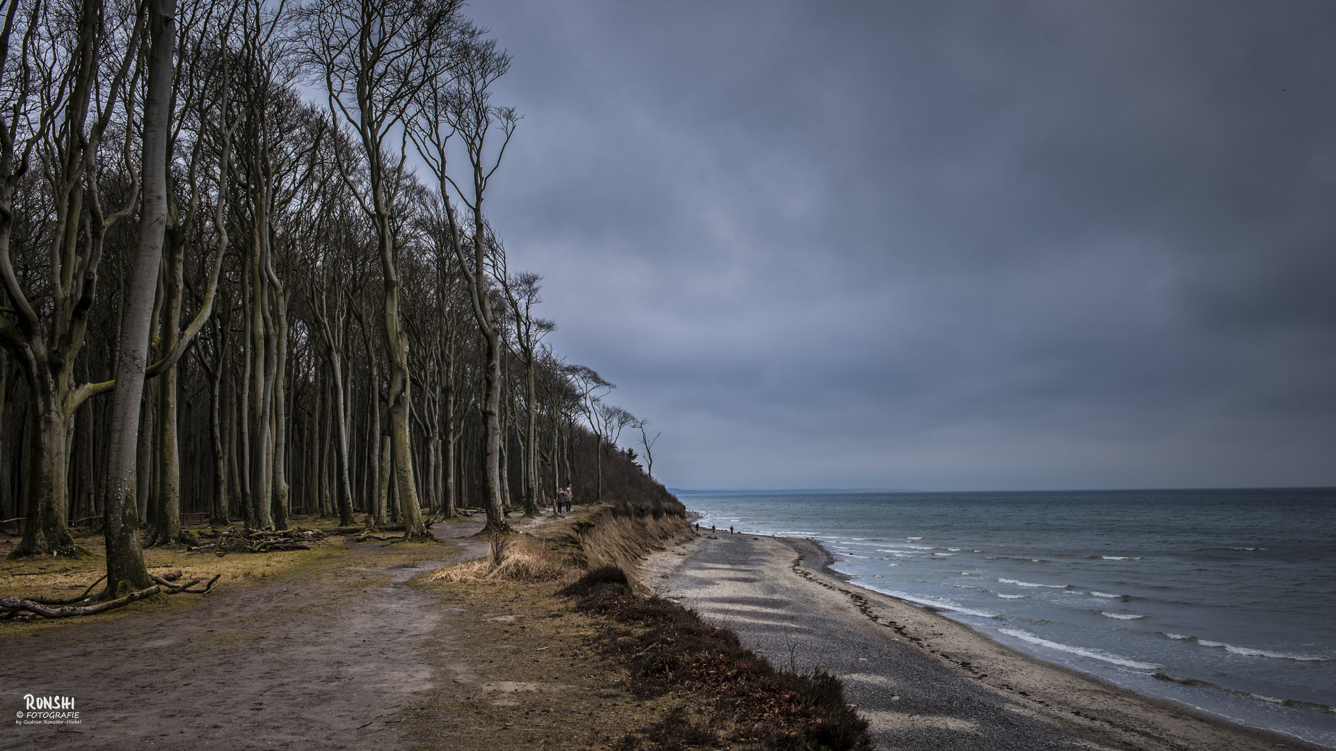 Wege am Meer -3-