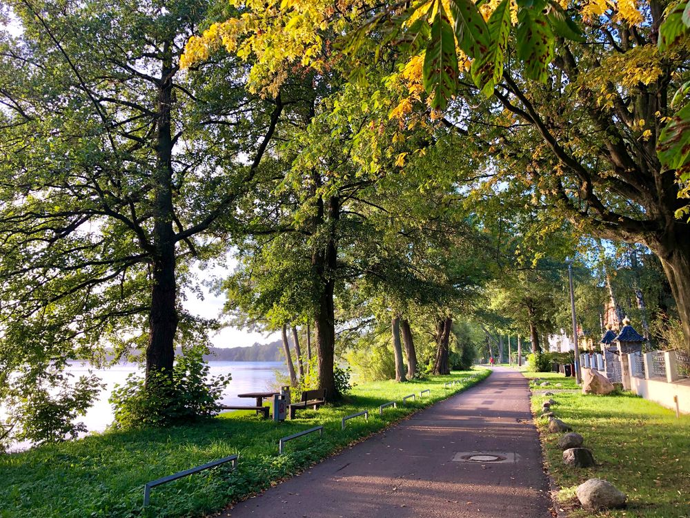 Wege am Schweriner See