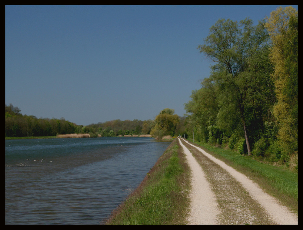 Wege an der Donau