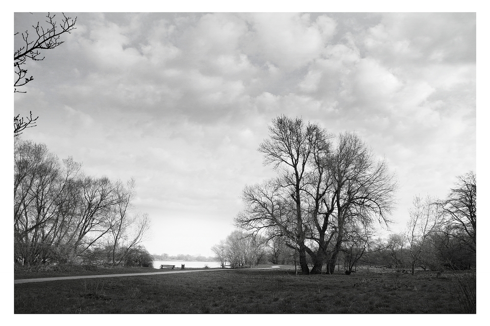 Wege an der Elbe