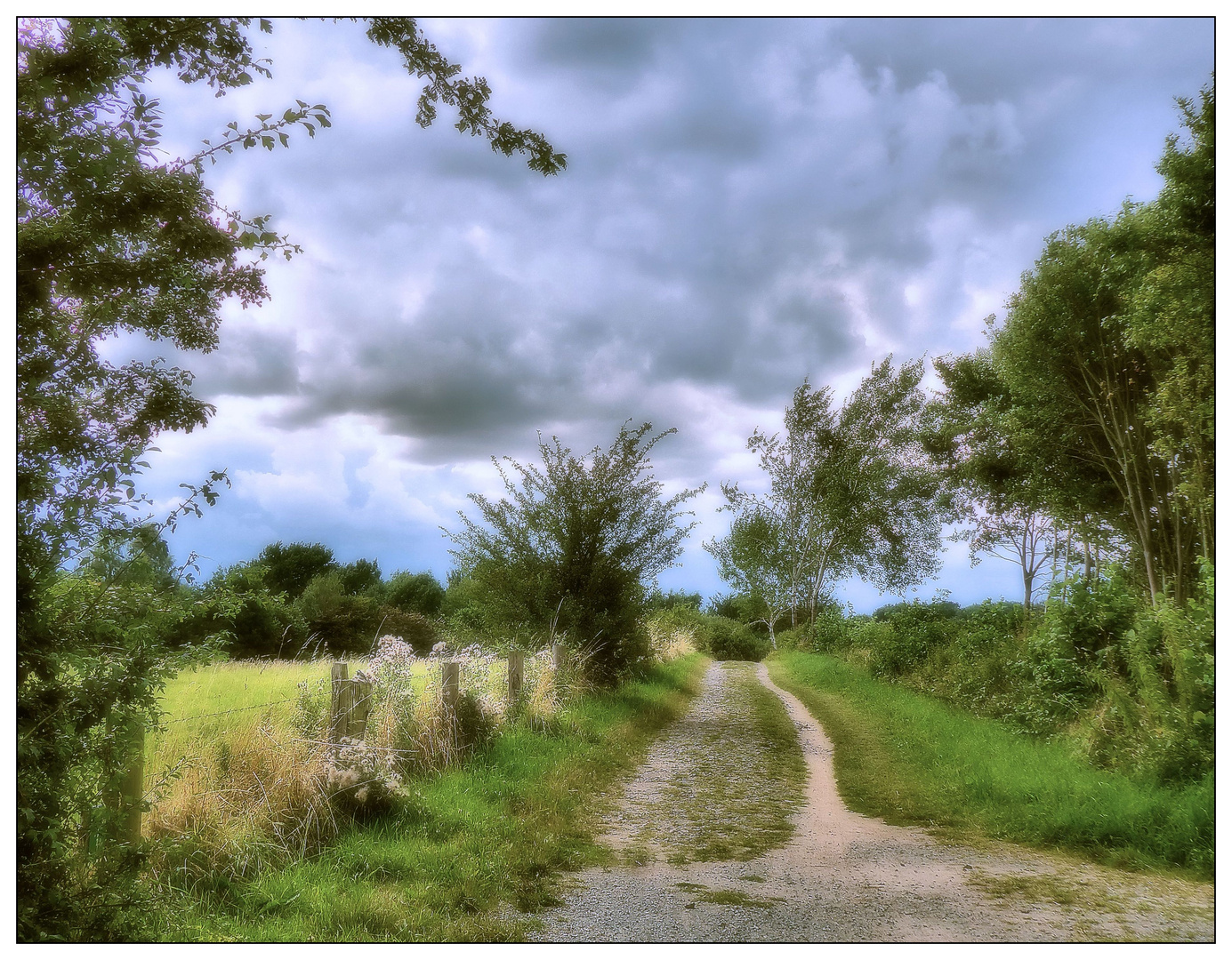 Wege auf dem Hochuferplateau