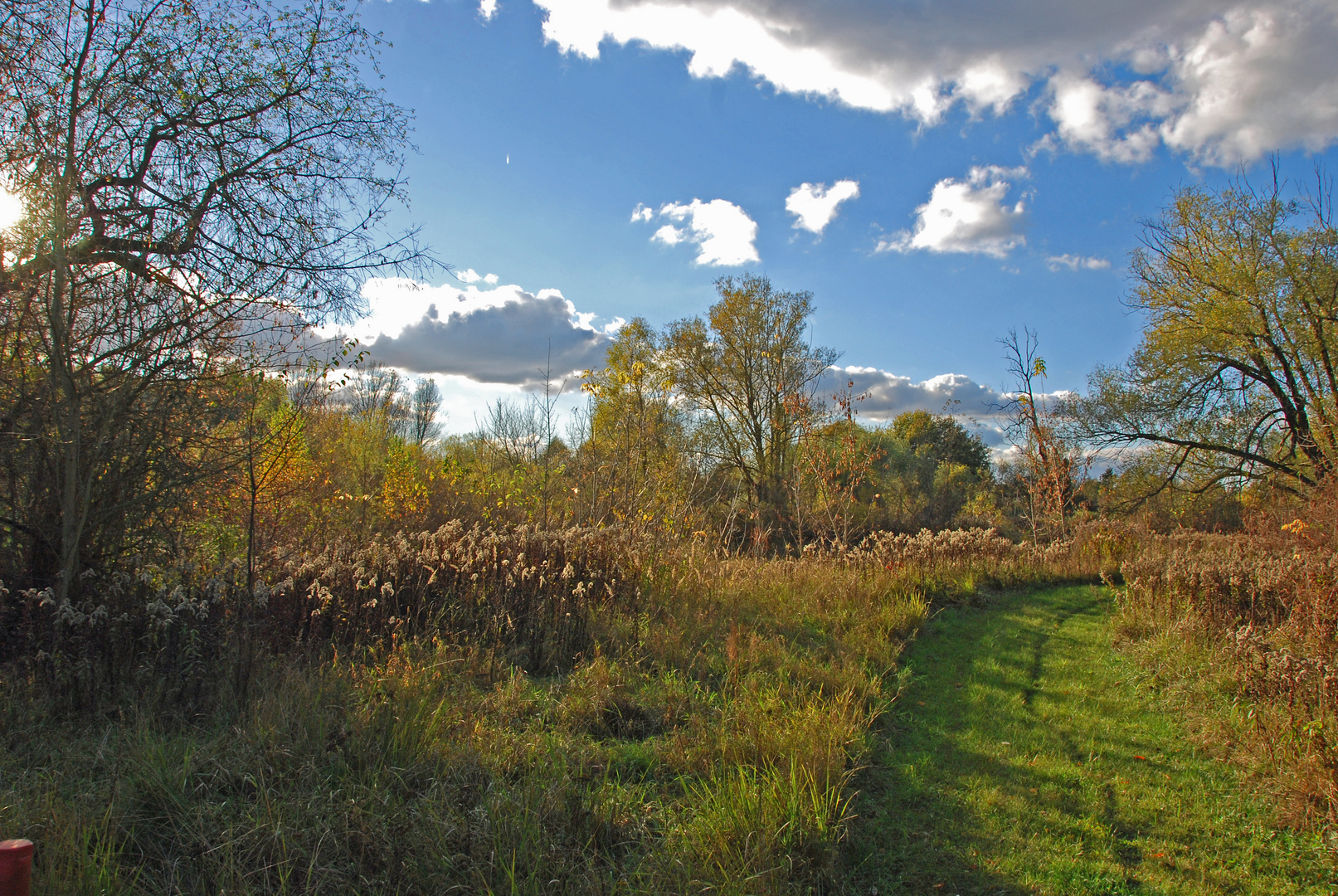 Wege aus dem Herbst 1