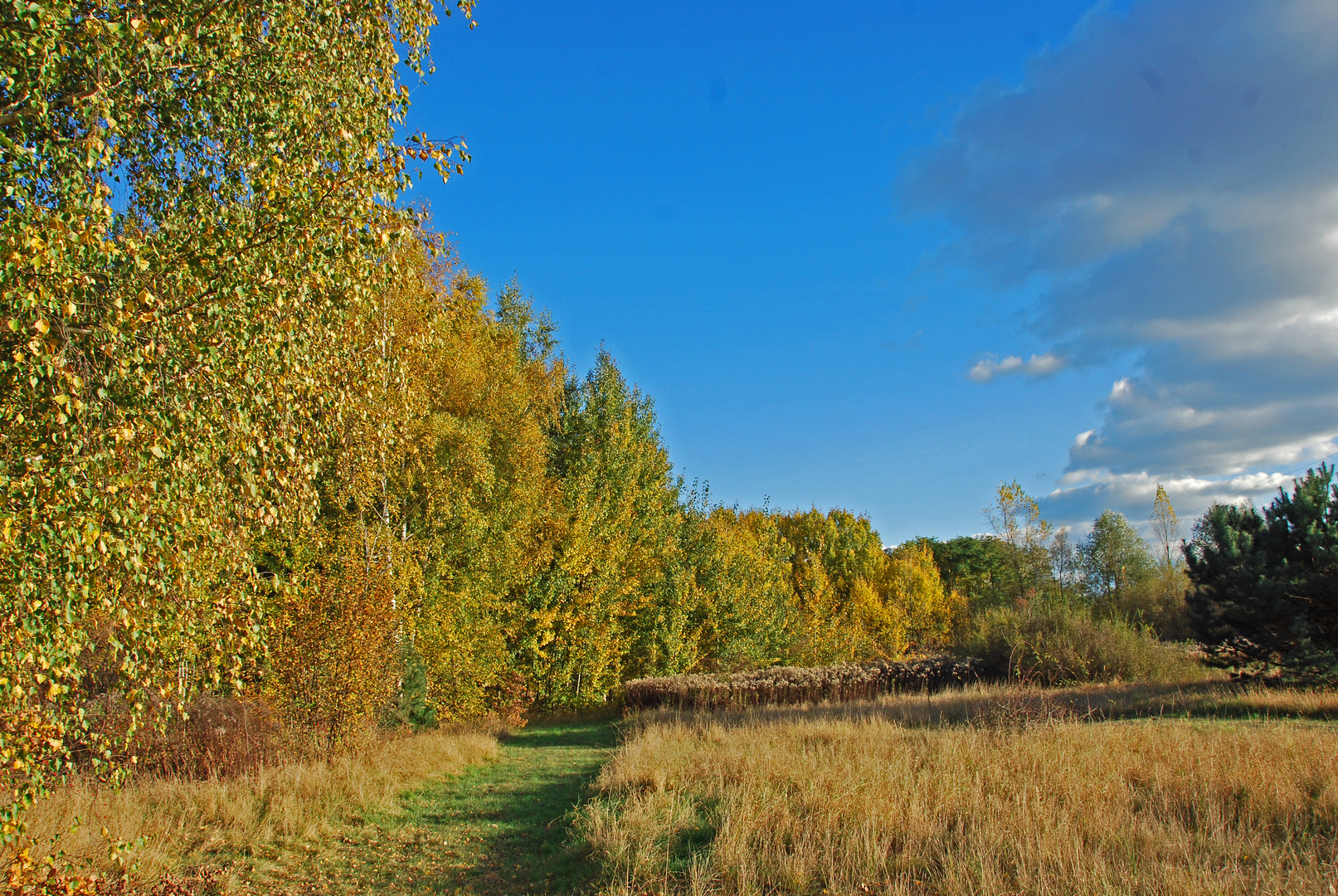 Wege aus dem Herbst 2