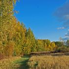 Wege aus dem Herbst 2