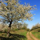 Wege beim Wandern