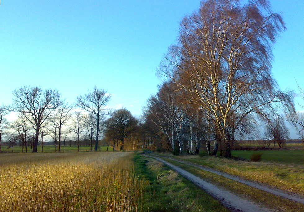 Wege der Altmark