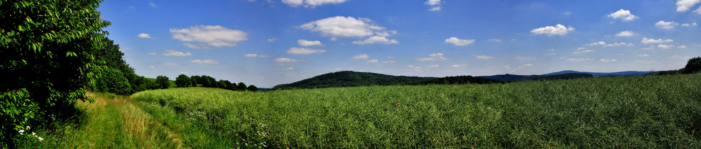 wege der erinnerung 1