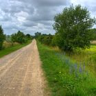 Wege der Uckermark