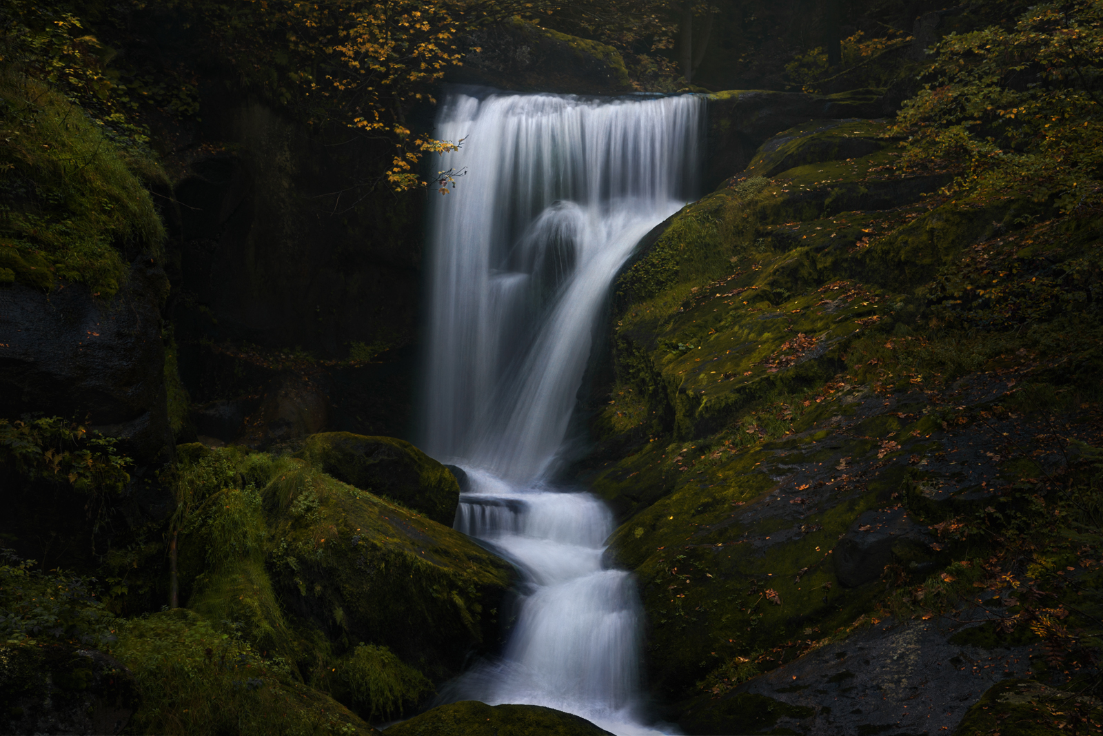 Wege des Wassers 