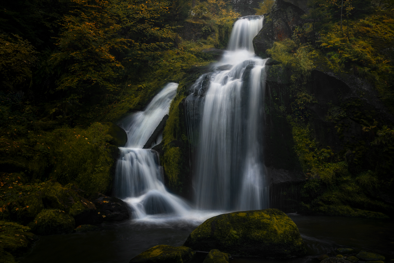 Wege des Wassers 