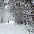 Wege des Winters II