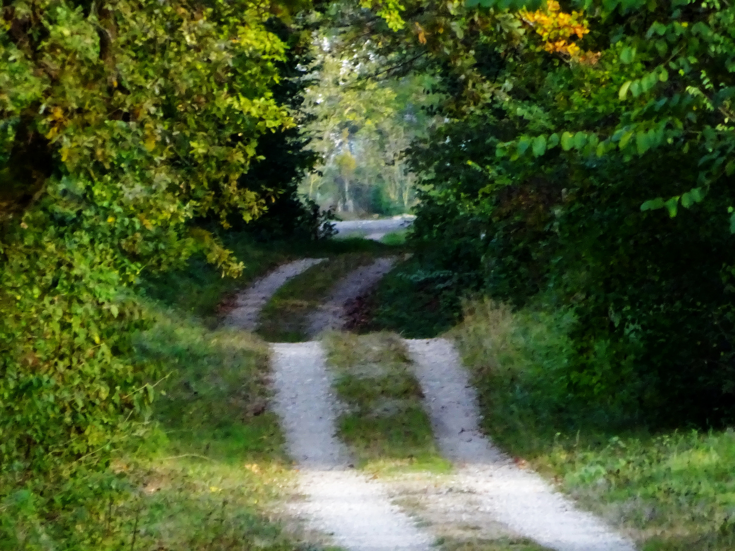 Wege, die hinaus führen, oder tief hinein