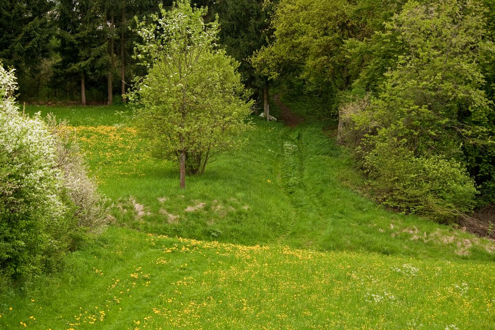 Wege, die sich kreuzen...