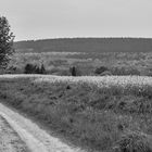 Wege durch das Calenberger Land