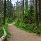 Wege durch den Harz