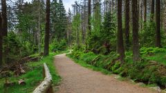 Wege durch den Harz