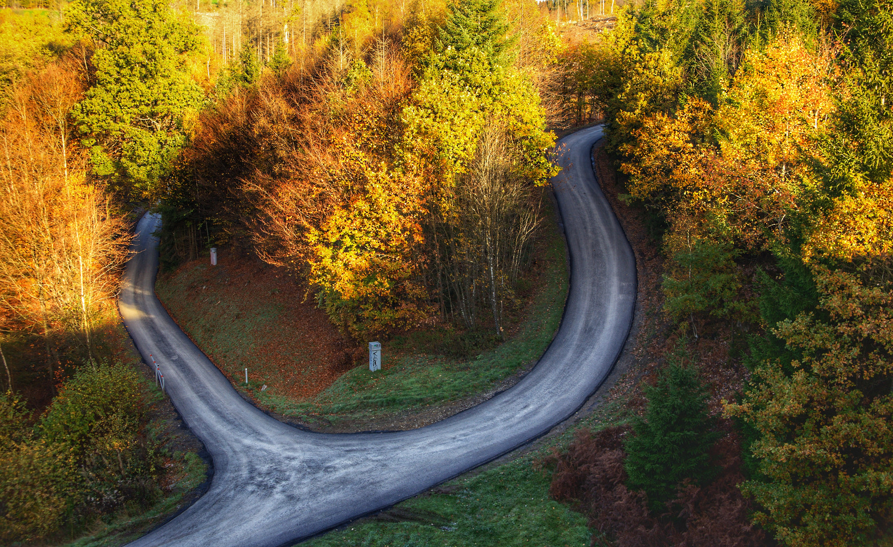 Wege durch den Herbst