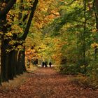 Wege durch den Herbst ...... eine Woche später