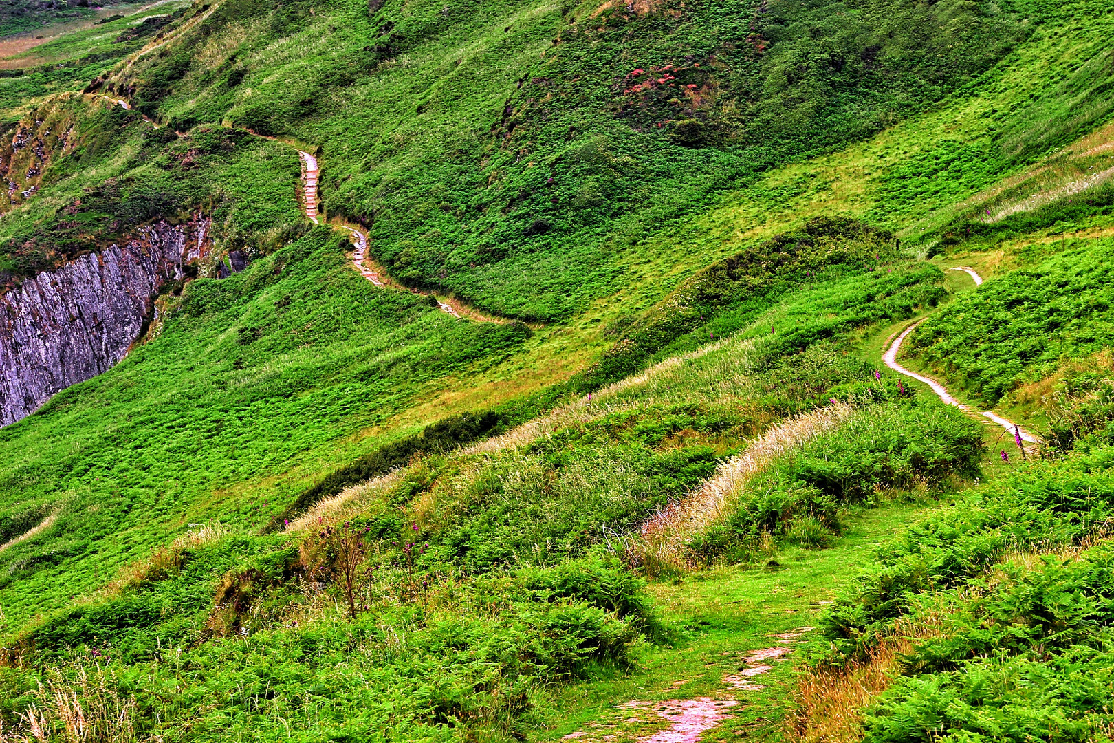 Wege durch die Landschaft