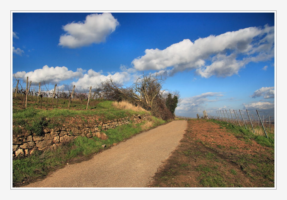 Wege durch die Pfalz