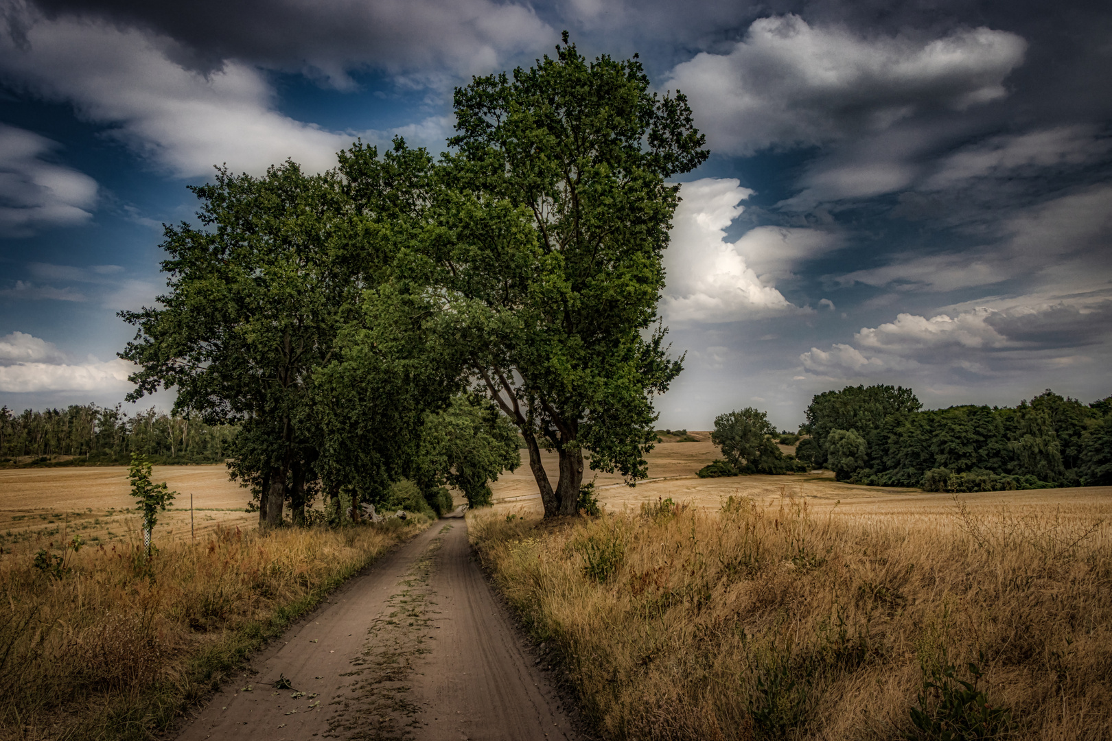 Wege durch die Uckermark