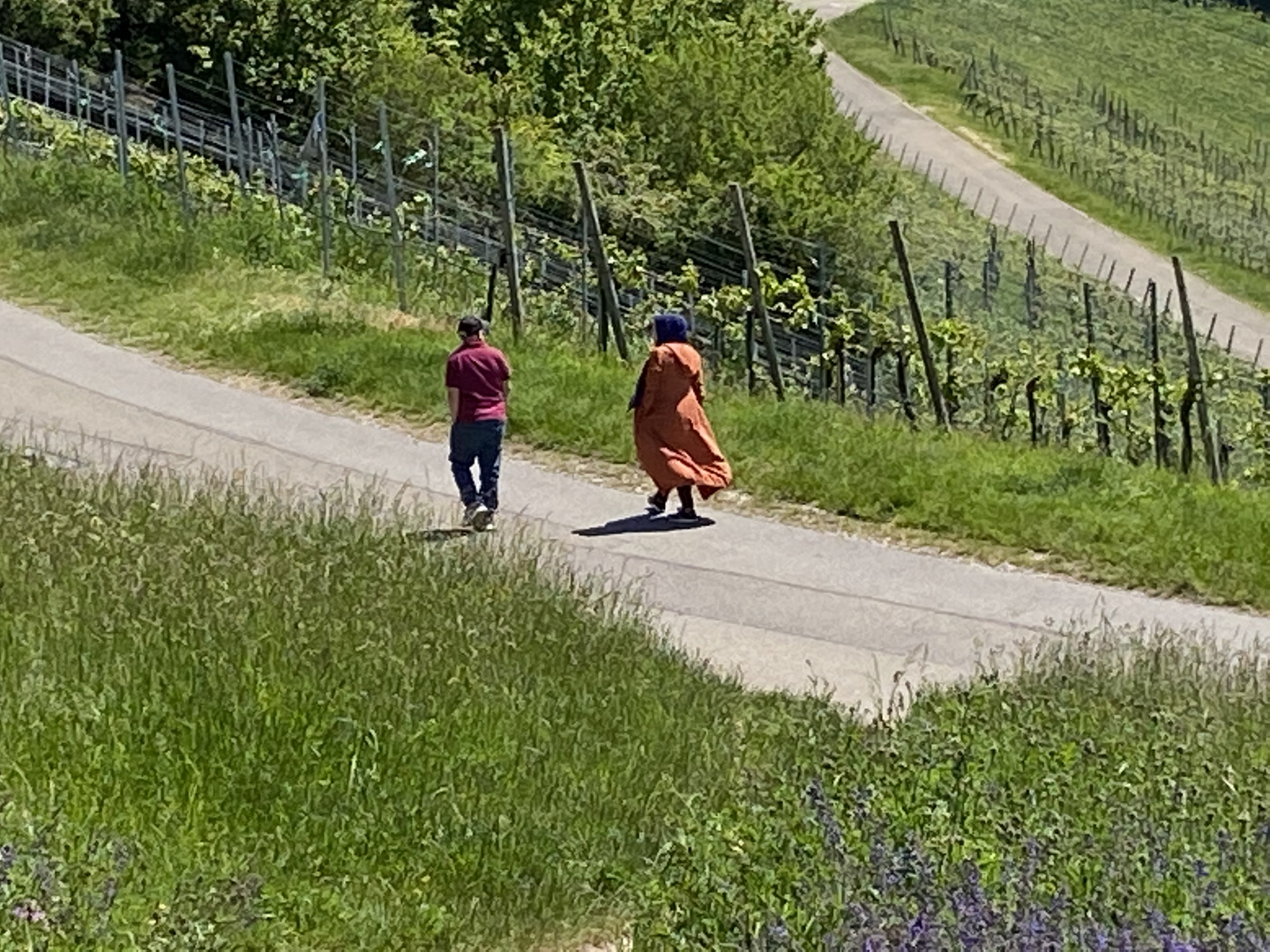 Wege durch Weinberg Landschaften mit wehendem Gewand