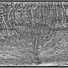 Wege eines Holzwurms II