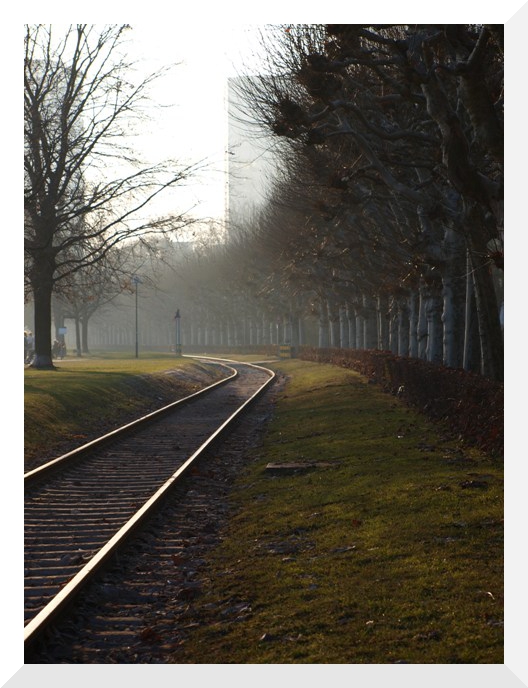 Wege entstehen dadurch, dass man sie geht. (Franz Kafka)