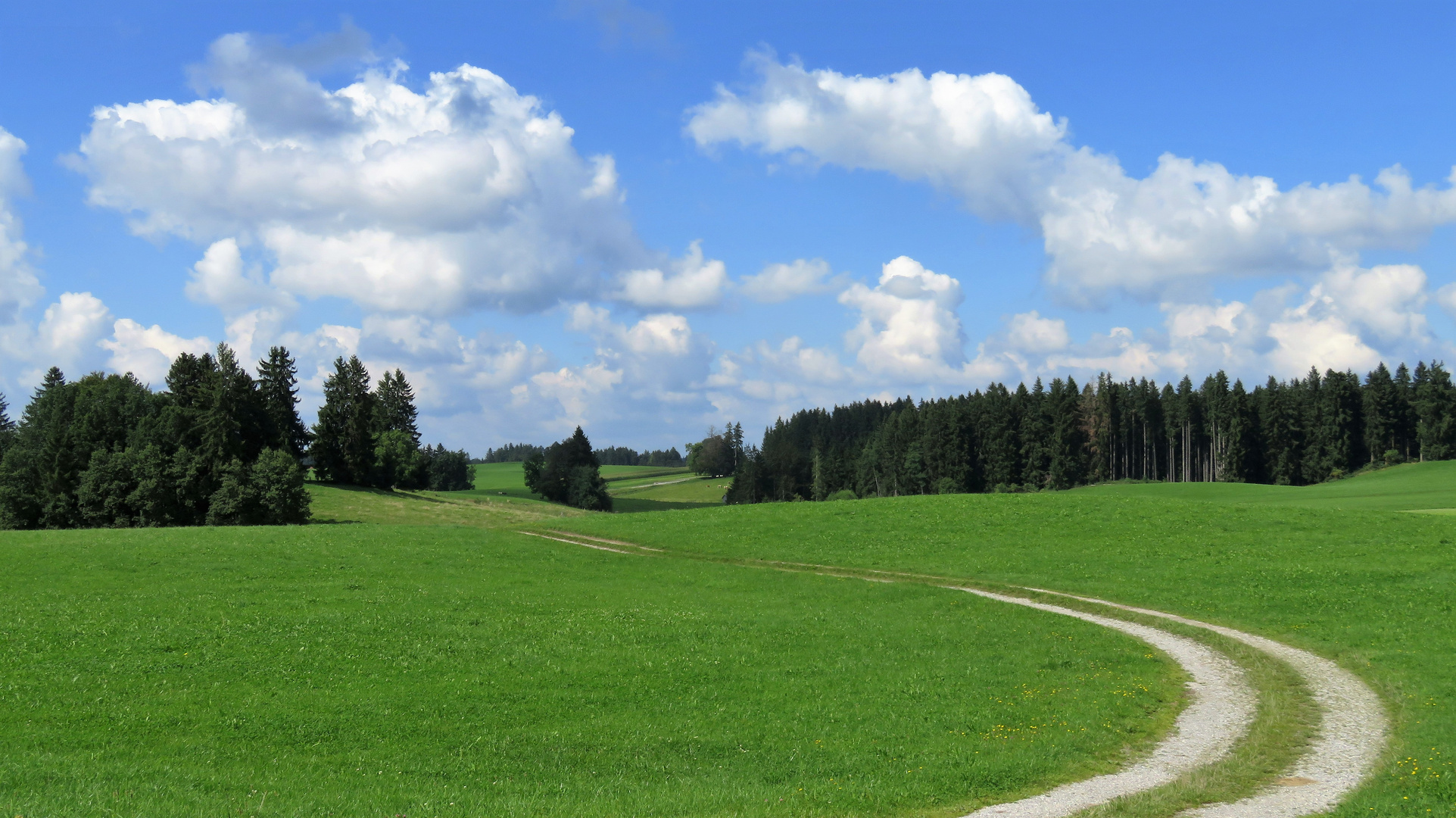 Wege entstehen, wenn wir sie gehen ...