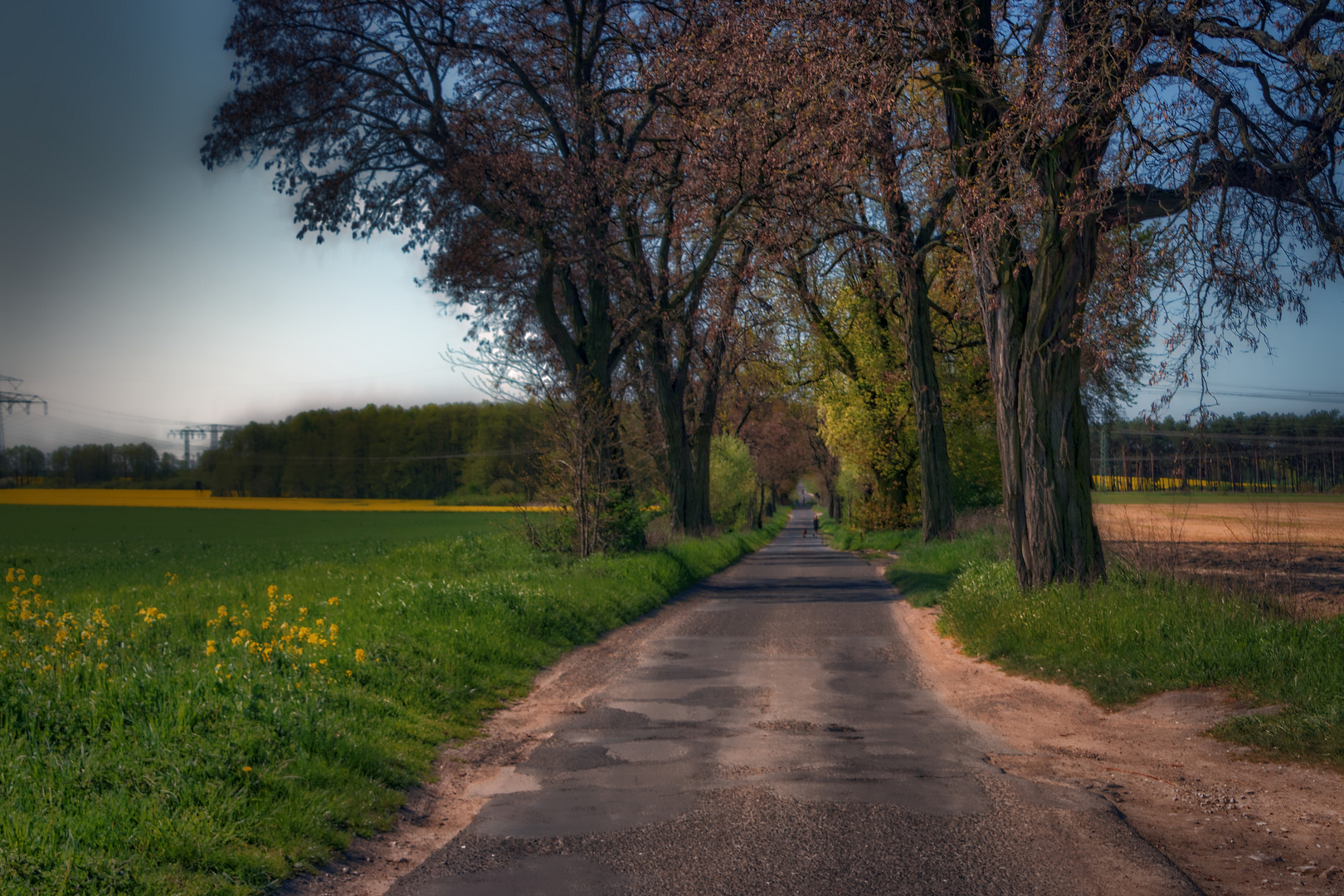 Wege führen über´s Land