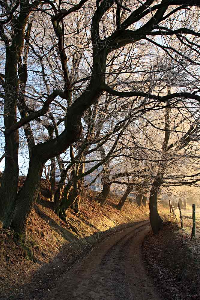 Wege für die Seele