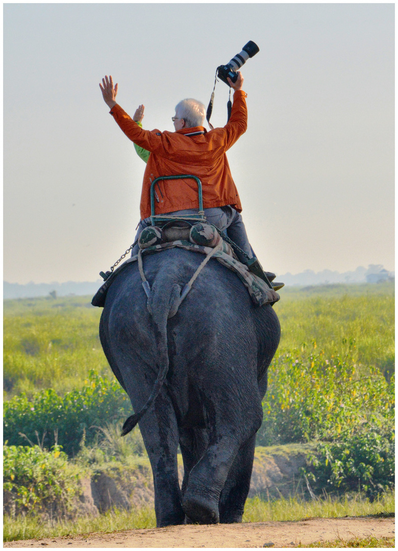 Wege gehen...Indien 2015