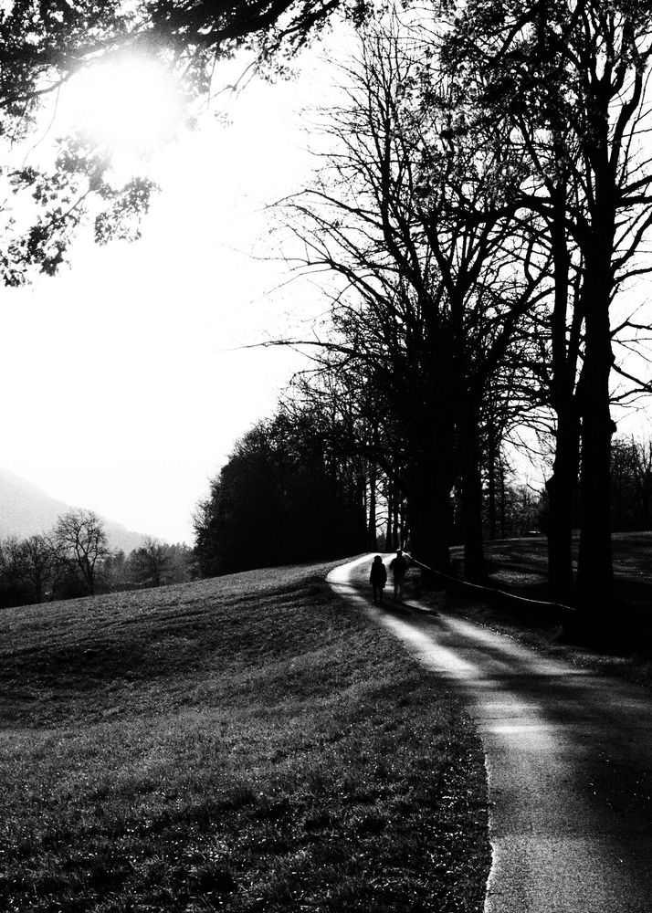 Wege gemeinsam gehen Foto & Bild | erwachsene, landschaft ...